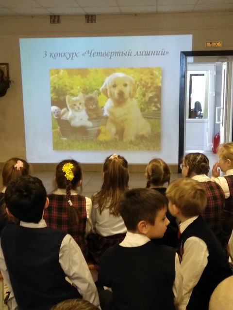 Неделя естествознания — фотография 1