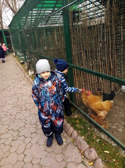 Лобненский зоопарк — фотография 8