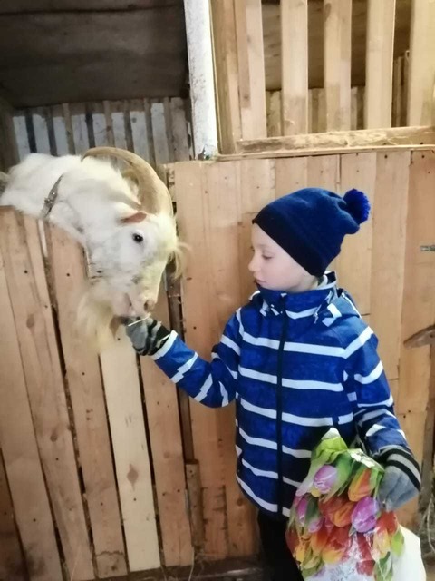 Лобненский зоопарк — фотография 17