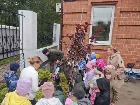Посадка «Древа единства» — фото 3
