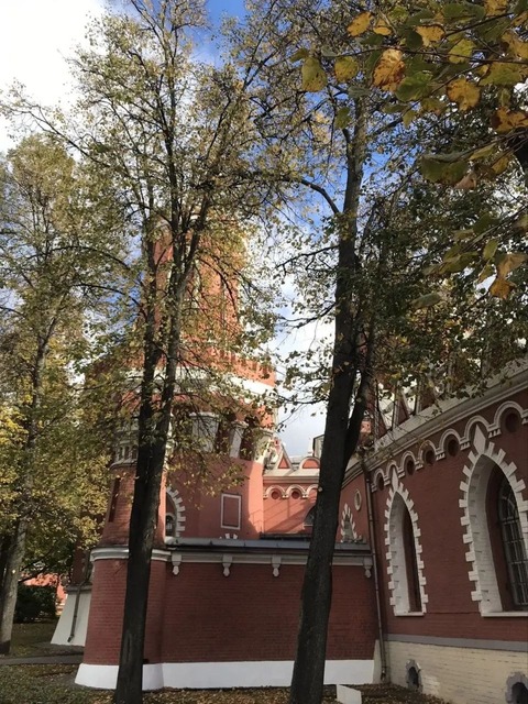 ПЕТРОВСКИЙ ПАРК — фото 3